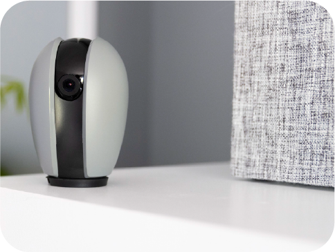 Smart Security Camera