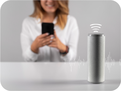 Voice Control Hub