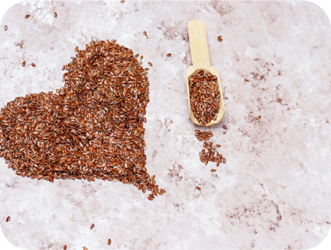 Organic Chia Seeds