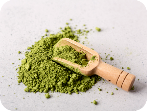 Spirulina Powder