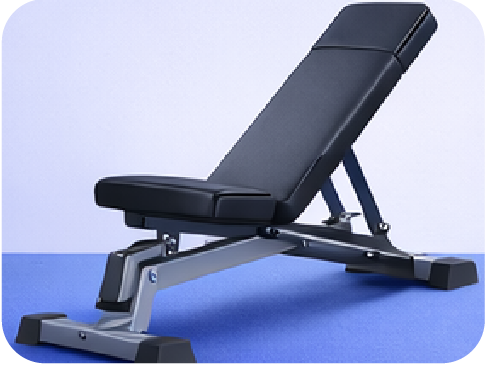 Adjustable Bench Pro