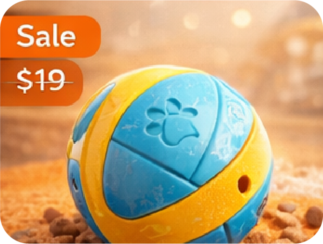 Interactive Ball Toy